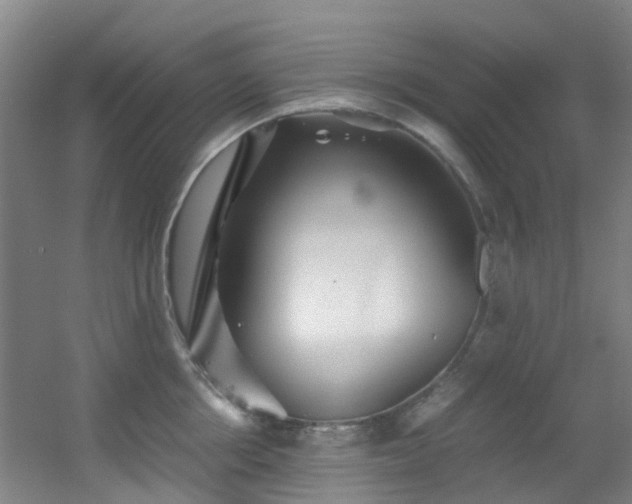 X0000056000858200508221321