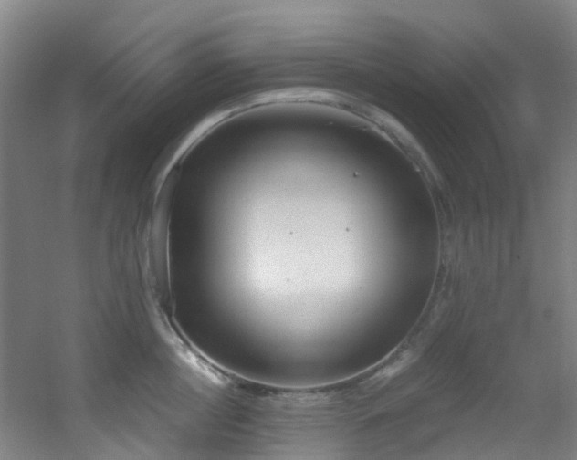 X0000056000860200508221321