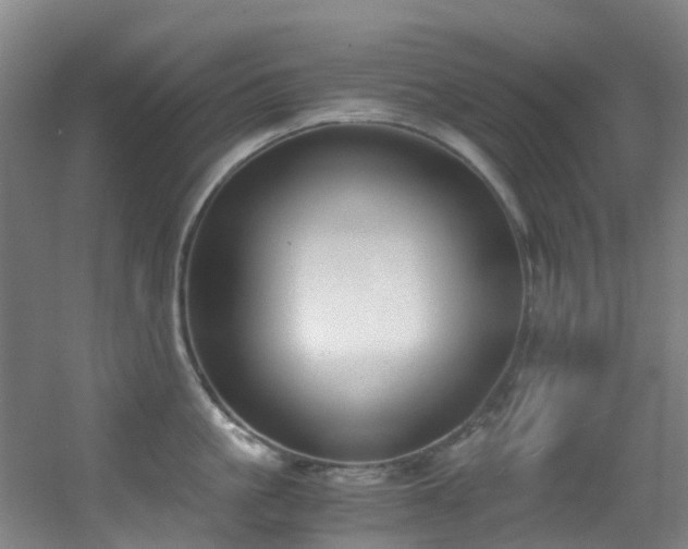 X0000056000861200508221321