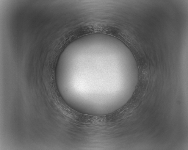 X0000056000865200508221320