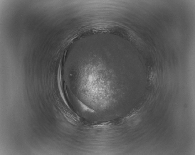 X0000056000868200508221320