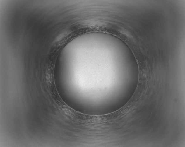 X0000056000869200508221320