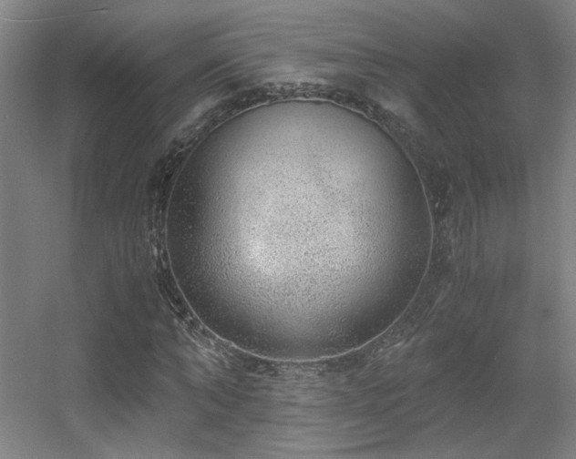 X0000056000870200508221320