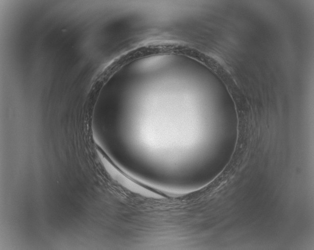 X0000056000871200508221320