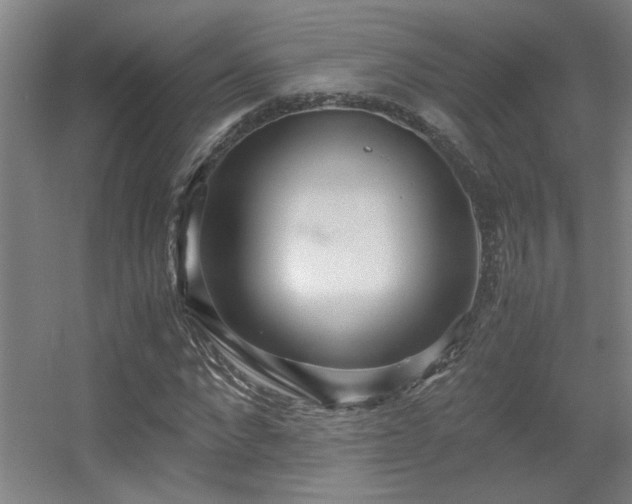 X0000056000872200508221320