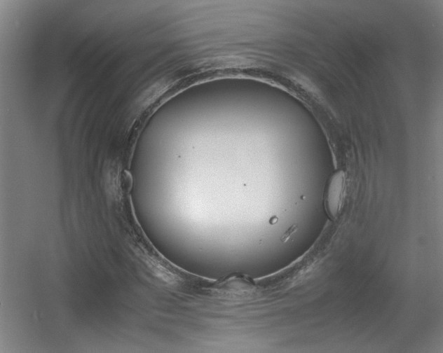 X0000056000873200508221320