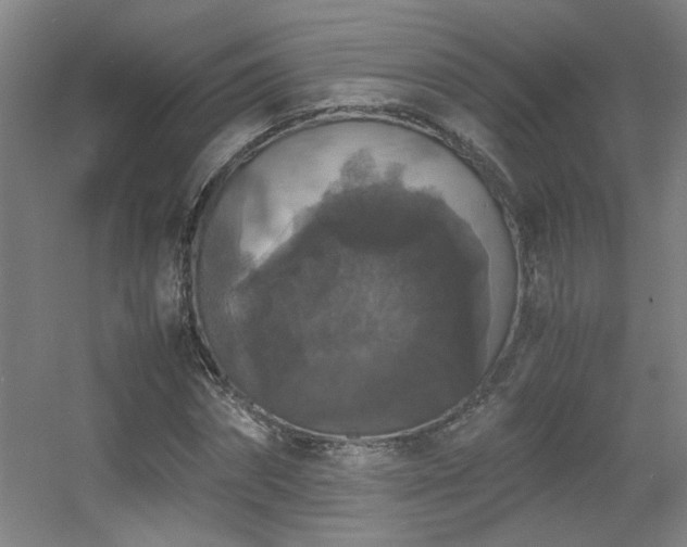 X0000056000874200508221320