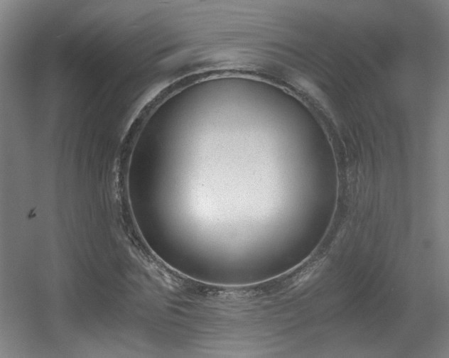 X0000056000875200508221320