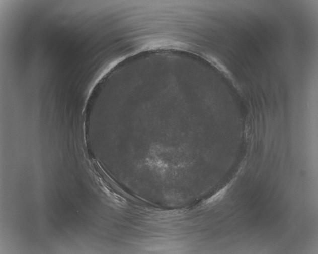 X0000056000877200508221320