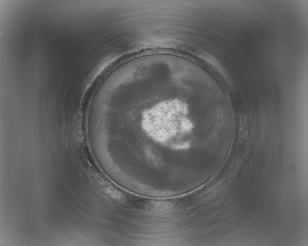 X0000056000878200508221320