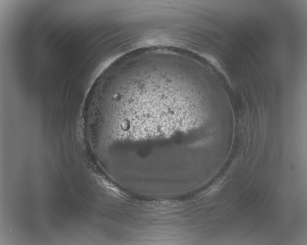 X0000056000879200508221320