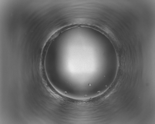 X0000056000880200508221320