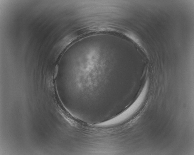 X0000056000881200508221320