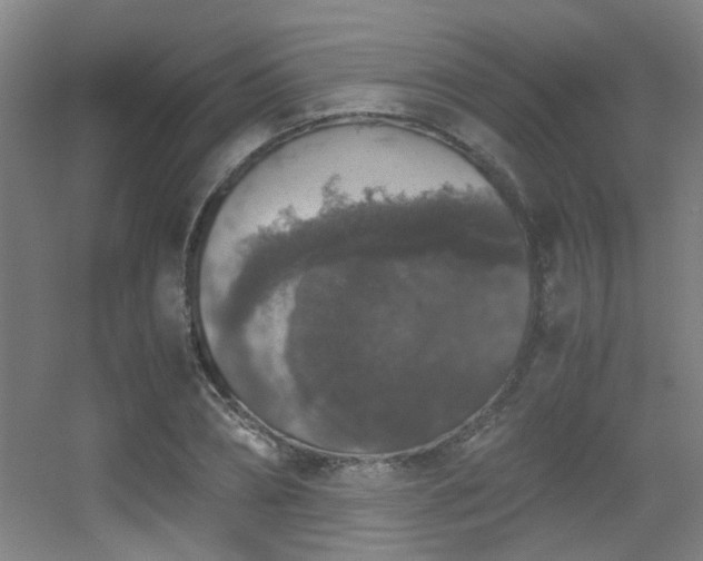 X0000056000882200508221320