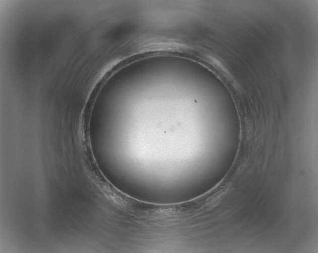 X0000056000883200508221320