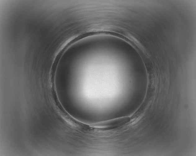 X0000056000885200508221320