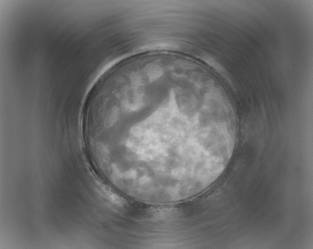 X0000056000886200508221320