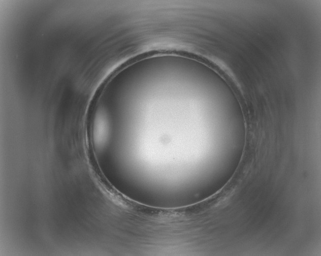 X0000056000887200508221320