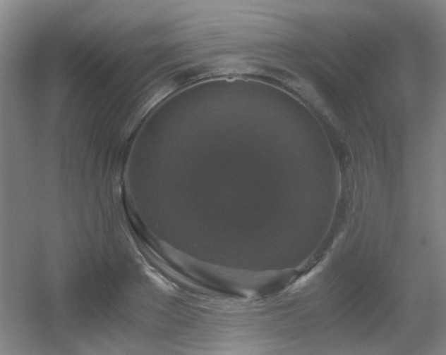 X0000056000889200508221320