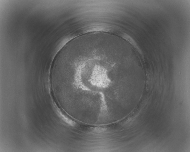 X0000056000890200508221320