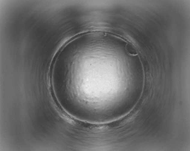 X0000056000891200508221320