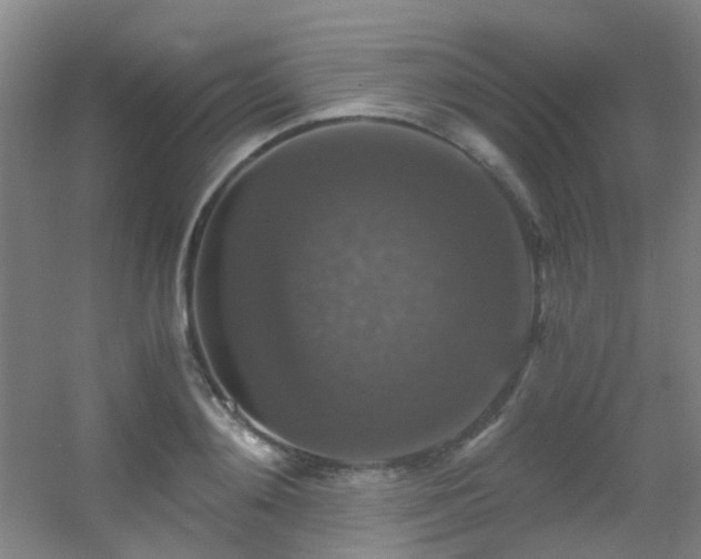 X0000056000892200508221320