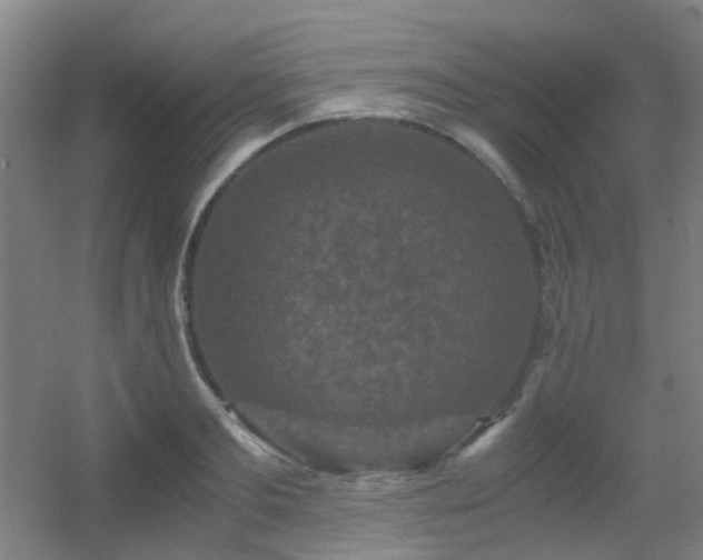 X0000056000893200508221320