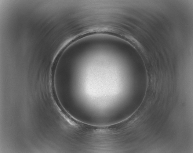 X0000056000894200508221320