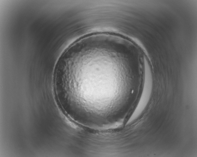 X0000056000895200508221320