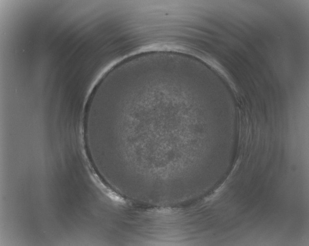 X0000056000896200508221320