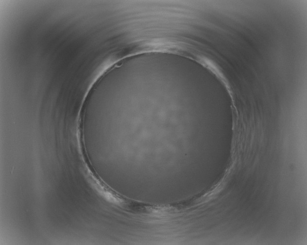 X0000056000899200508221320