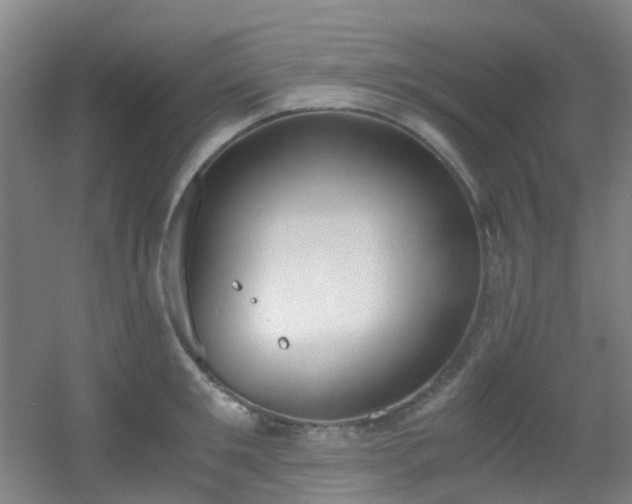 X0000056000901200508221320