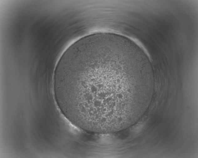 X0000056000903200508221320