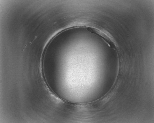 X0000056000904200508221320