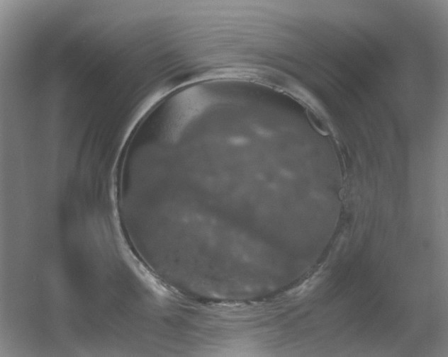 X0000056000907200508221319