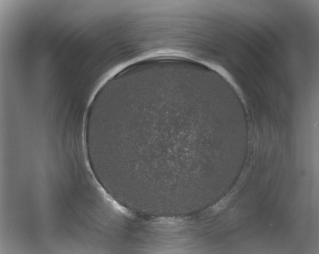 X0000056000910200508221319