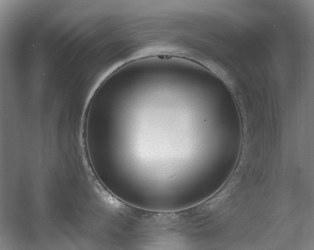 X0000056000912200508221319