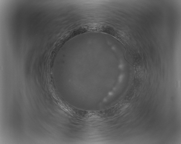 X0000056000913200508221319