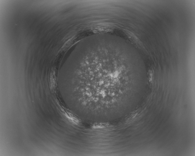 X0000056000915200508221319