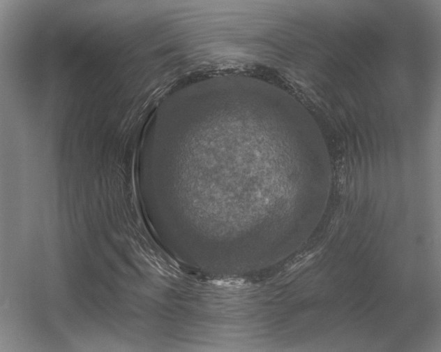 X0000056000916200508221319