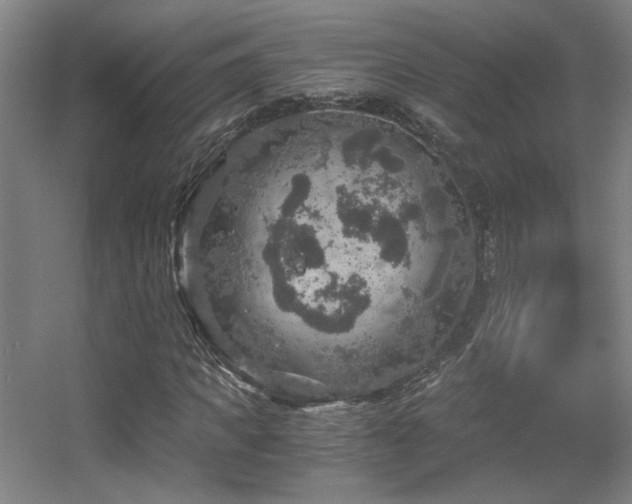 X0000056000917200508221319