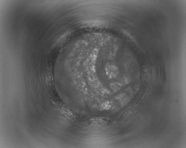 X0000056000918200508221319