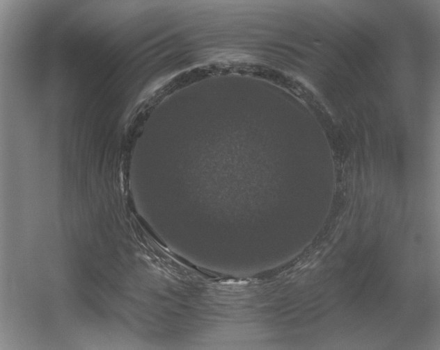 X0000056000919200508221319