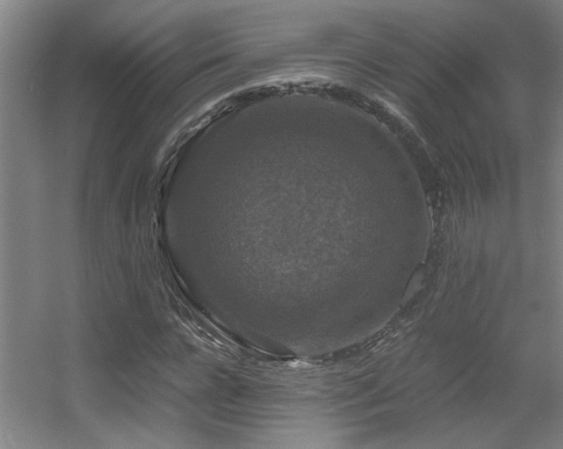 X0000056000920200508221319