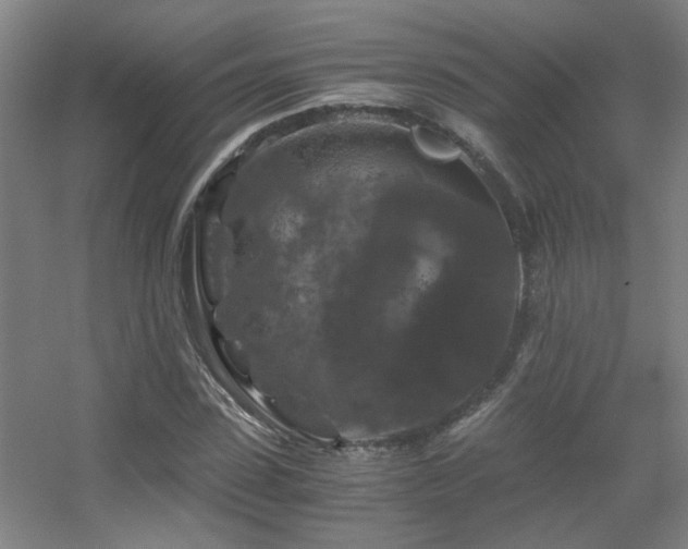 X0000056000923200508221319