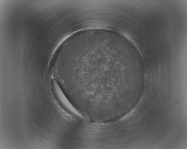 X0000056000925200508221319