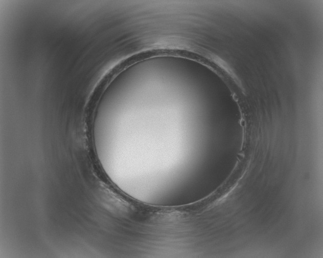 X0000056000926200508221319