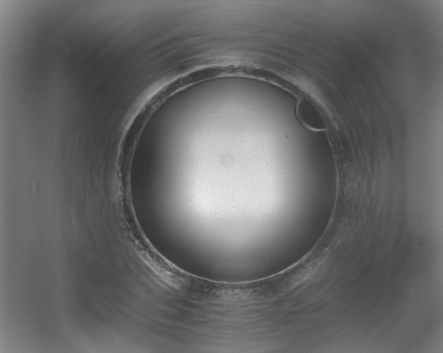 X0000056000927200508221319