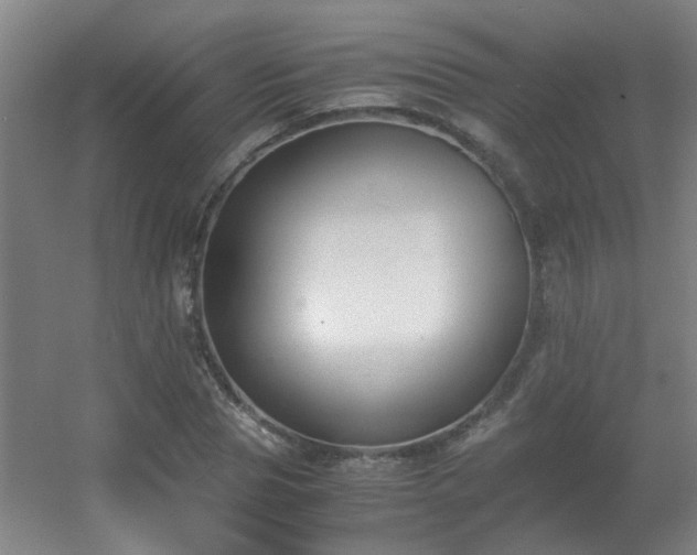 X0000056000929200508221319