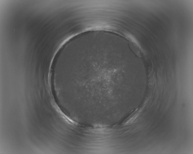 X0000056000932200508221319